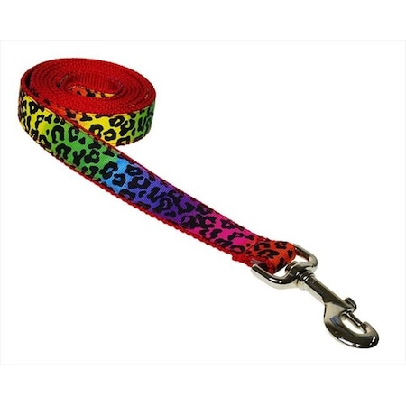 4 Ft. Leopard Dog Leash; Rainbow - Small